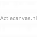 Actiecanvas.nl logo