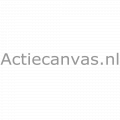 Actiecanvas.nl logó