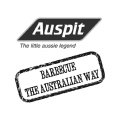 Auspit Europe logo
