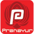 Logo Pranayur.nl