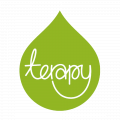Terapy logo