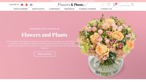 Reviews over Flowers & Plants Co.